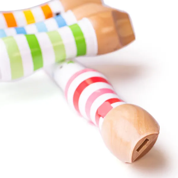 Bigjigs Toys Recorder (One Supplied)
