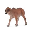 CollectA Red Brahman Calf