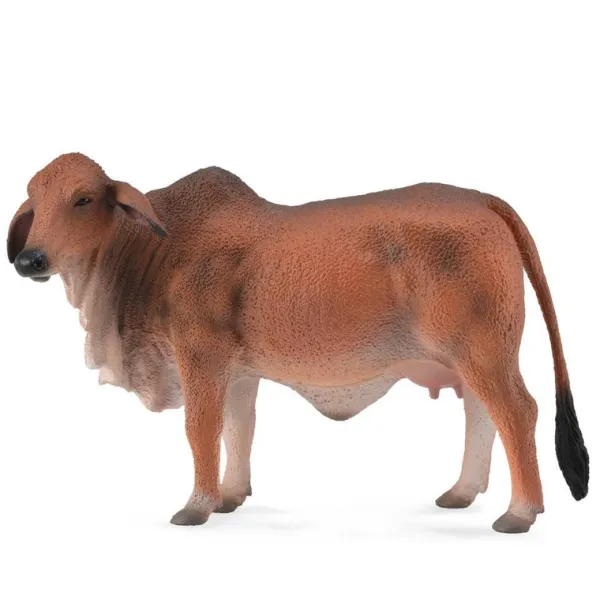 CollectA Red Brahman Cow