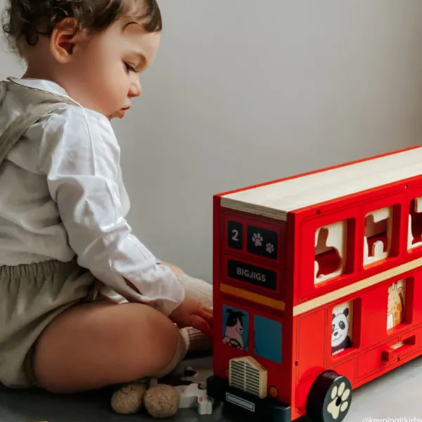 Bigjigs Toys Red Bus Sorter