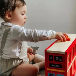 Bigjigs Toys Red Bus Sorter
