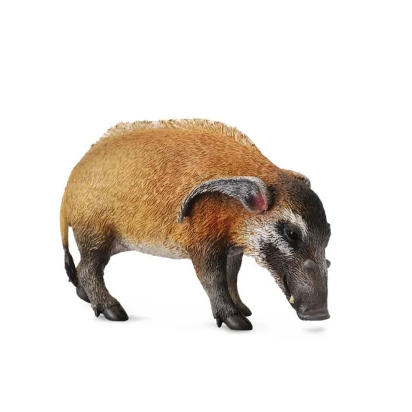 CollectA Red River Hog