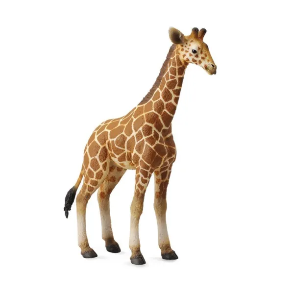 CollectA Reticulated Giraffe Calf