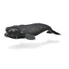 CollectA Right Whale