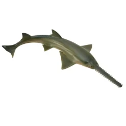 CollectA Sawfish