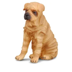 CollectA Shar Pei