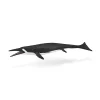 CollectA Shastasaurus