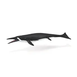 CollectA Shastasaurus
