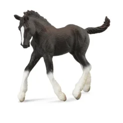 CollectA Shire Horse Foal Black