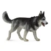 CollectA Siberian Husky