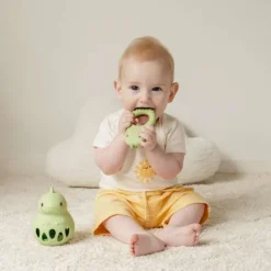 Tiger Tribe Silicone Teether - Dino