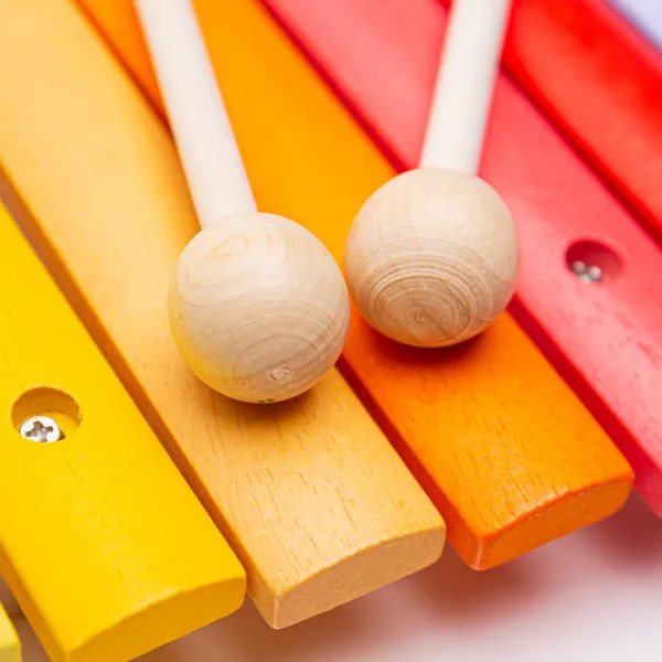 Bigjigs Toys Snazzy Xylophone