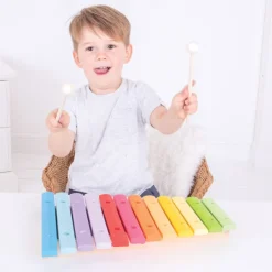 Bigjigs Toys Snazzy Xylophone