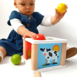 Bigjigs Baby Tap Tap Ball - DAMAGED BOX