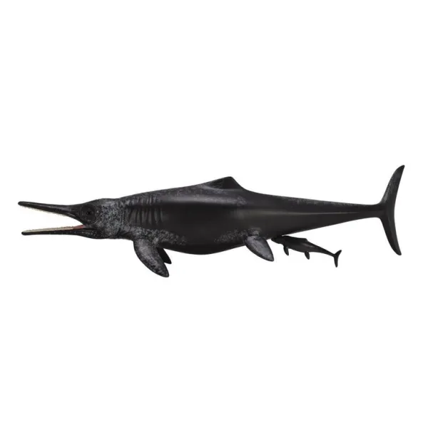 CollectA Temnodontosaurus Platyodon Birth