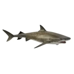 CollectA Tiger Shark