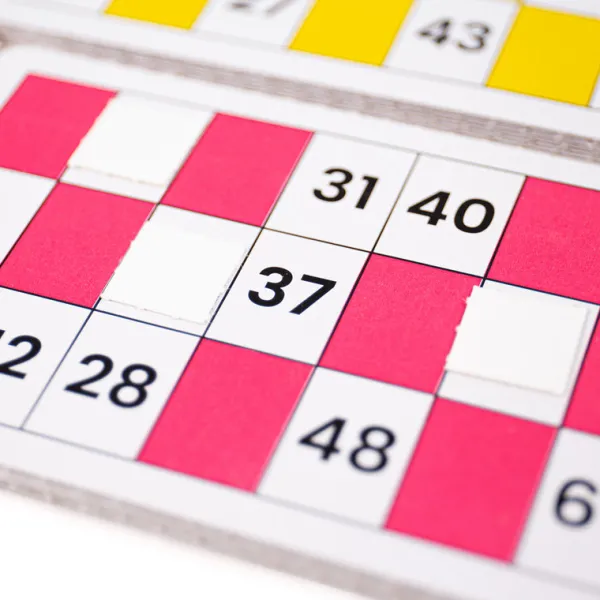 Bigjigs Toys Traditional Bingo