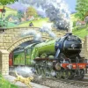 House of Puzzles Train Spotting - BIG 250 Piece Jigsaw Puzzle