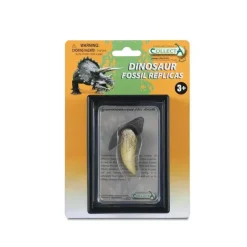 CollectA T-Rex Tooth In Display Case