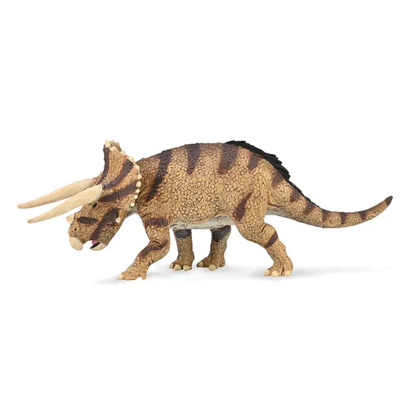 CollectA Triceratops horridus - confronting