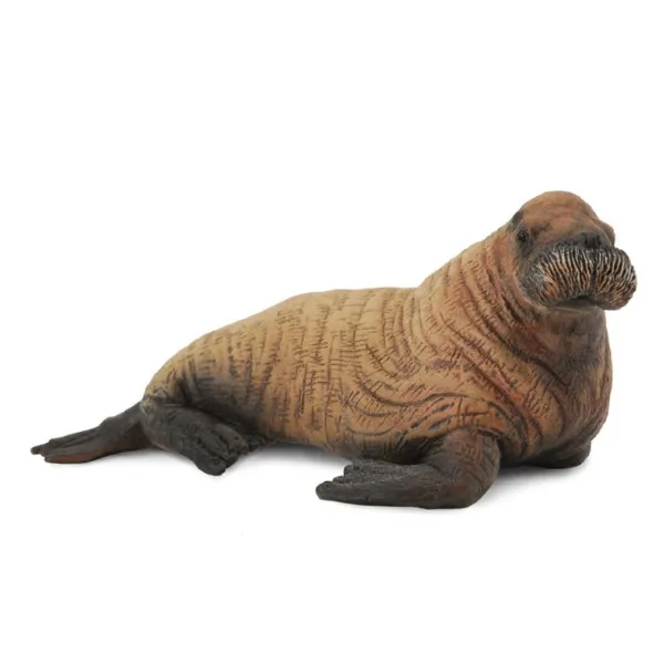 CollectA Walrus Calf