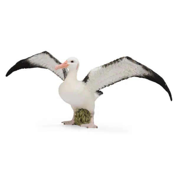 CollectA Wandering Albatross