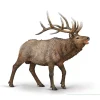 CollectA Wapiti