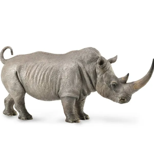 CollectA White Rhinoceros