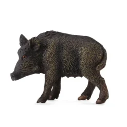 CollectA Wild Sow