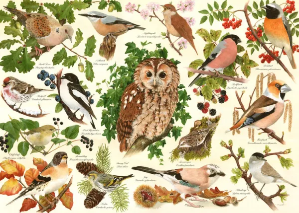 House of Puzzles Woodland Birds - BIG 500 Piece Jigsaw Puzzle