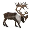 CollectA Woodland Caribou